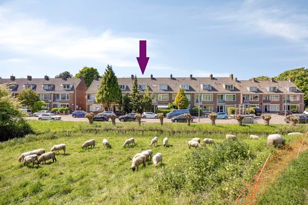 Te koop: Ruime bovenwoning op de 1e en 2e verdieping met heerlijk balkon op het westen en centraal gelegen in een rustige straat in Rotterdam-IJsselmonde. 